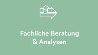 Fachliche Beratung & Analysen Fachliche Beratung & Analysen